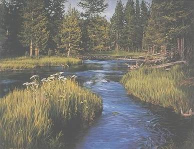 Queen Anne's Lace by Marlin Adams - Auction record, sale price, and art valuation. Compare with similar artists and explore comparable artworks.