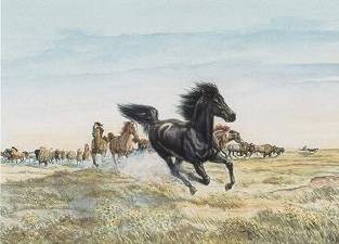 Black Kettle, The Kansas