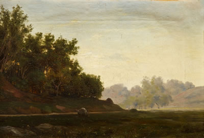 Paisaje de campo