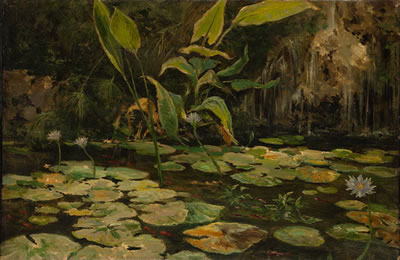 Nenúfares