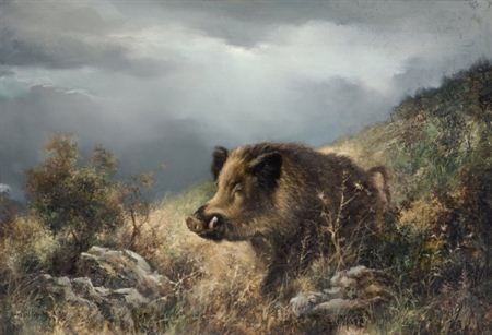 Jabalí