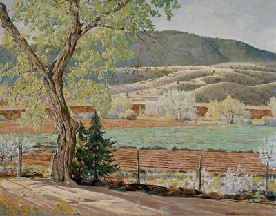 Cienega In Spring