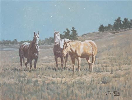 Bigheart Horses Under the Moon