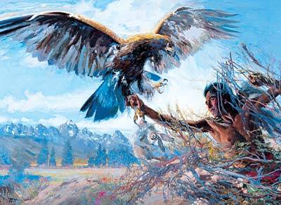 Eagle Catcher