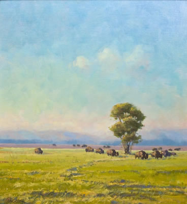 BISON AT ANTELOPE FLAT