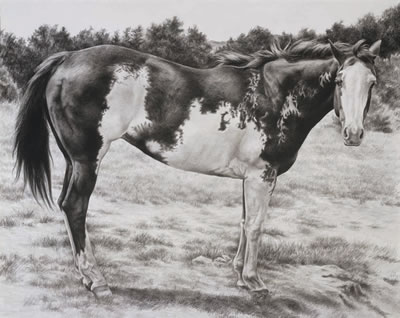 HIGH MEADOW PAINT by Karmel Timmons - Auction record, sale price, and art valuation. Compare with similar artists and explore comparable artworks.
