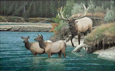 Athabasca Crossing