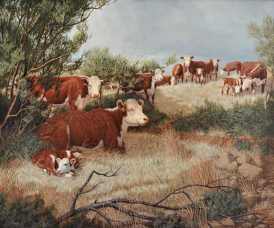 Cattle