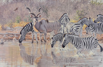 Etosha Water Hole by Lindsay Scott - Auction record, sale price, and art valuation. Compare with similar artists and explore comparable artworks.