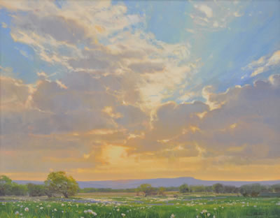 Hill Country Spring