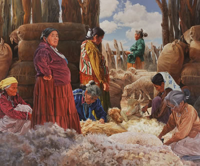 Shearing the Churro Sheep