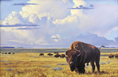 Sample artwork by Lindsay Scott (Born 1955), known for african wildlife painting - View similar artists and auction records