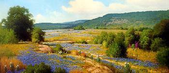 Hill Country Floral