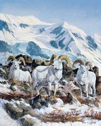 Matanuska Rams