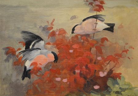 "Bullfinch Study"