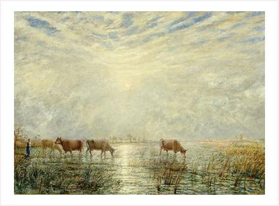 VACHES A L'ABREUVOIR