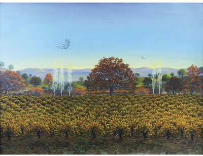 Landscape