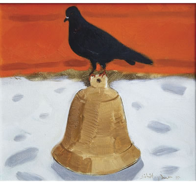 Pigeon