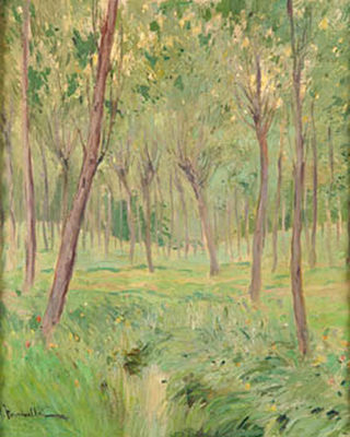 Bosque