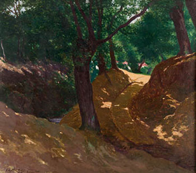 Camino arbolado