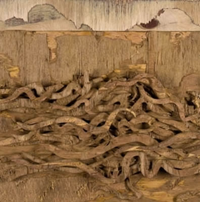 Sample artwork by Nacho Angulo (Born 1952), known for painting - View similar artists and auction records