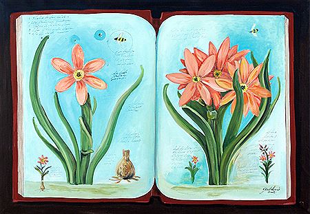 SERIE DE BOTANICA ANTIGUA - BULBOS II