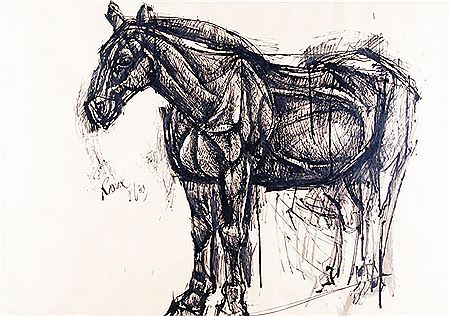 ESTUDIO DE CABALLO