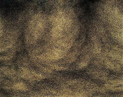 CREEPERS, 2006