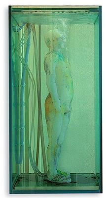 Portrait of Fabrice Hybert: AUTOPORTAIT, 1998