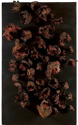 SANS TITRE (FLEURS)
