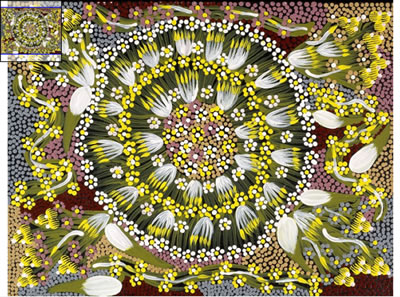 LE REVE DE LA BANANE DU BUSH / BUSH BANANA DREAMING
