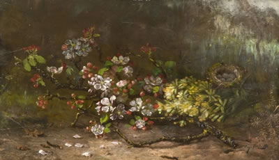 Nature morte au nid