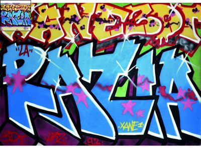 Sans titre by Xane - Auction record, sale price, and art valuation. Compare with similar artists and explore comparable artworks.