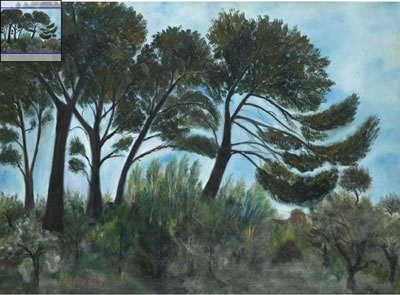 PAYSAGE DE ST TROPEZ