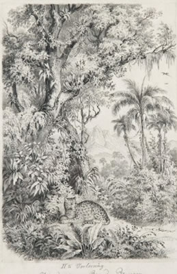 Sample artwork by Wilhelm Georgy (1819 - 1887), known for painting, illustrator, woodcuts - View similar artists and auction records