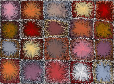 LES PLUMES DE l'EMEU POUR LA DANSE / DANCING FEATHERS STARBURST