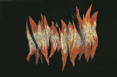 BLAZE