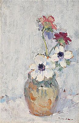 Anemone