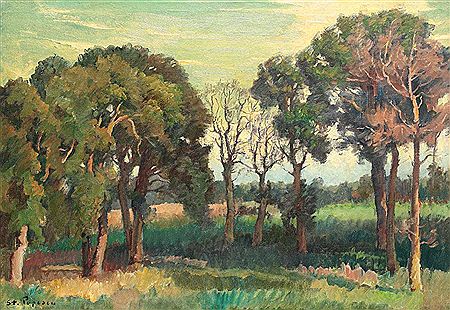 Summer Landscape