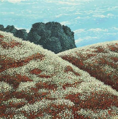 Hills with poppies and daisies