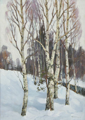 BIRCH TREES IN WINTER