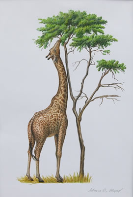 GIRAFFE by Olga Levchenko - Auction record, sale price, and art valuation. Compare with similar artists and explore comparable artworks.