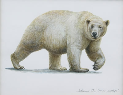 Polar Bear