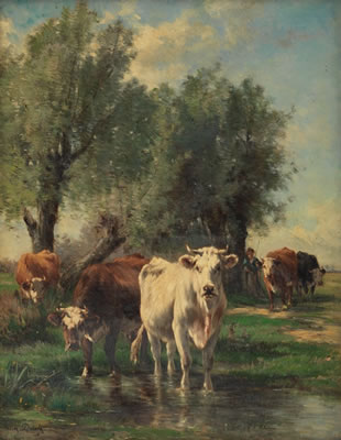 Cows watering