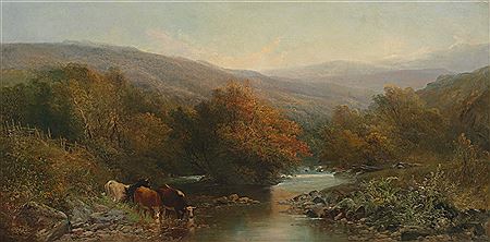 Cows in the shallows of a highland stream