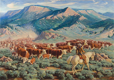 Hereford Herd
