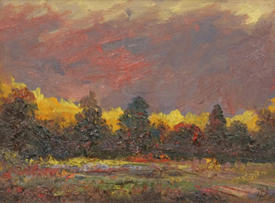 David Borenstein - artist photo