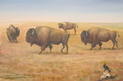 Bison - Central Plains by Louis ShipShee - Auction record, sale price, and art valuation. Compare with similar artists and explore comparable artworks.