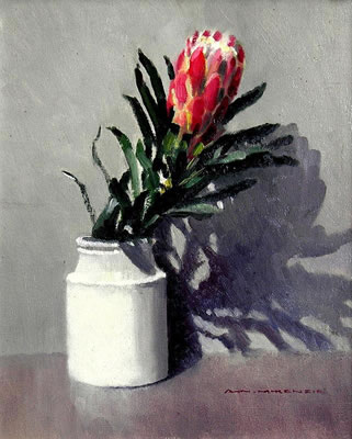 Waratah