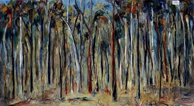 Forest Impression